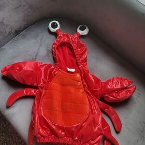 Kids Red Lobster Costume